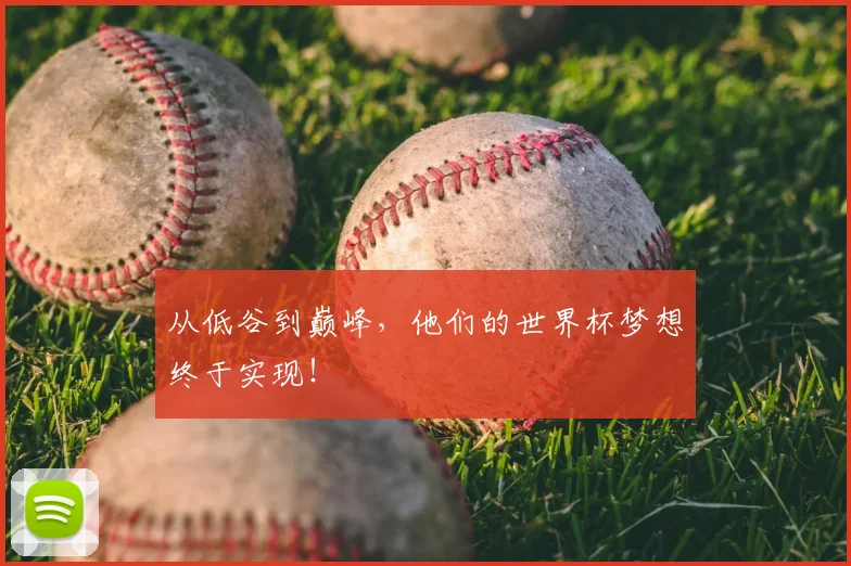 从低谷到巅峰，他们的世界杯梦想终于实现！